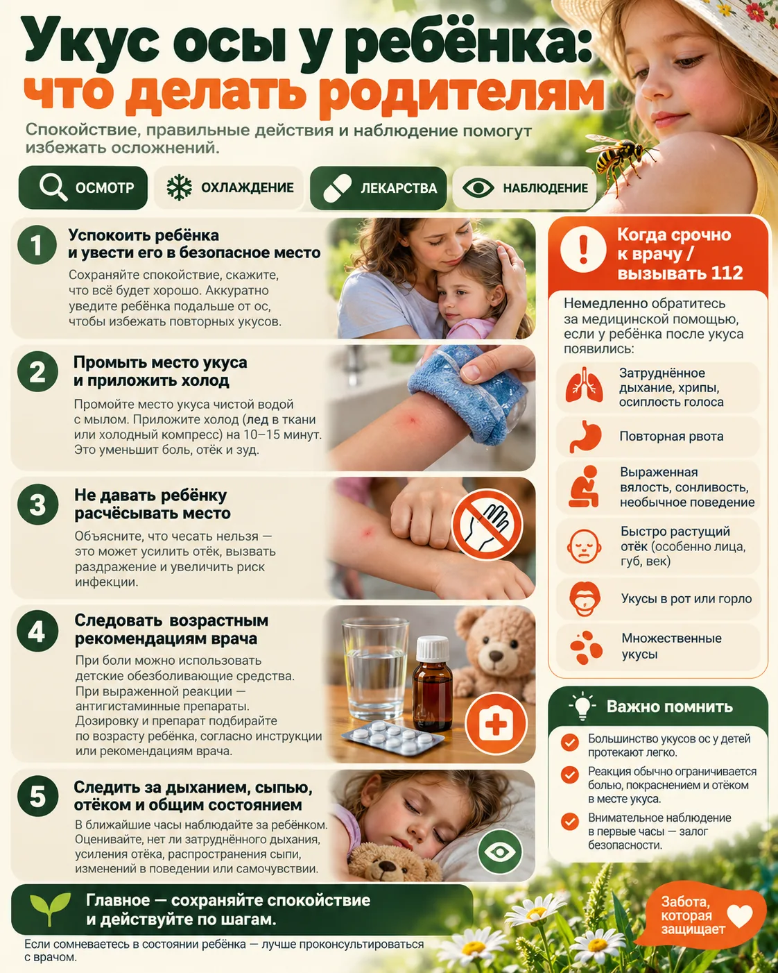Пошаговая памятка для родителей после укуса осы у ребенка